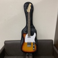 Bacchus バッカス テレキャスタータイプ エレキギター ソフトケース チューナー付き