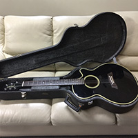 Takamine タカミネ エレアコギター PT-106 ハードケース付